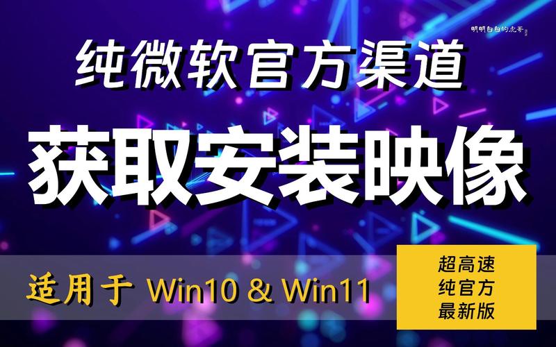 win11下载无广告