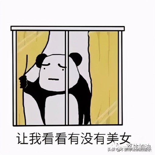 大白菜u盘装系统怎么选