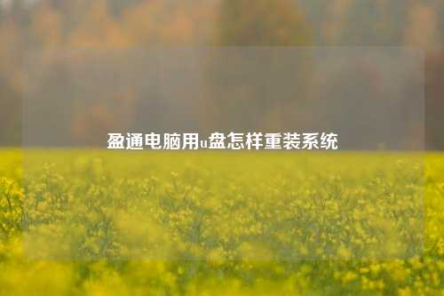 盈通u盘装系统 英通电脑如何使用U盘重装系统