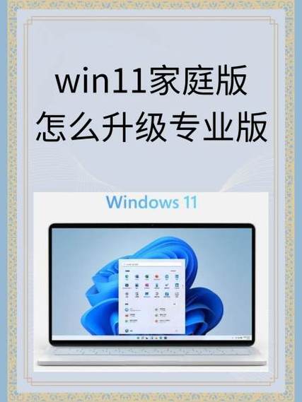 怎样升级win11专业版