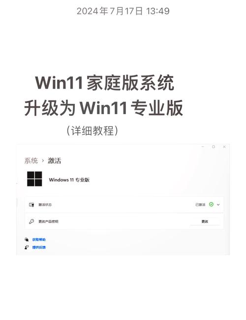 win11哪个是家庭版