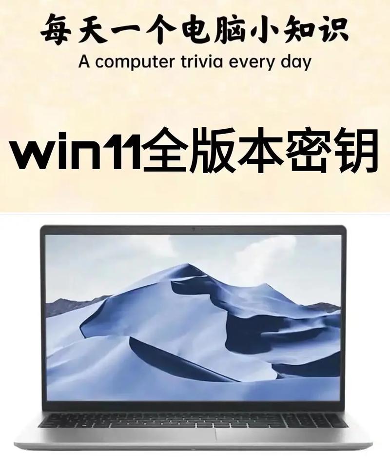 win11激活密钥查询