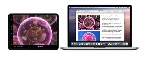 mac系统怎么查版本 苹果macOS 10.15功能升级：告别32位应用，迎接新时代