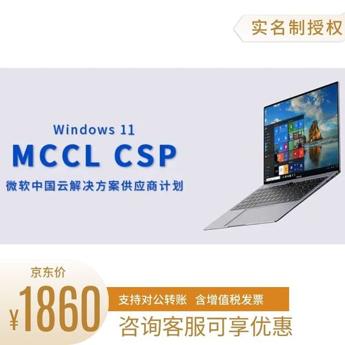 win10专业版免费不