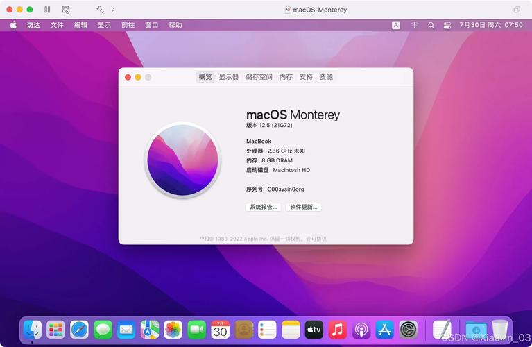 mac os系统下载视频