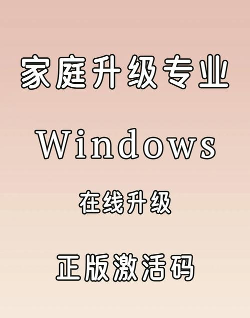 win10专业版升64位