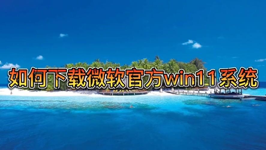 win11官方版哪里下载