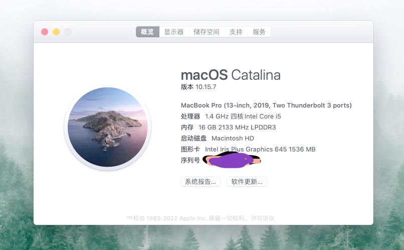 19年mac出厂系统版本 2019年Mac系统版本macOS Catalina 10.15全面解析：新特性与使用体验