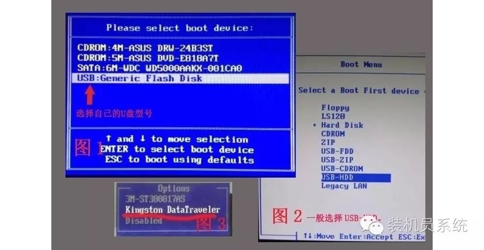 u盘装系统只有一个选项